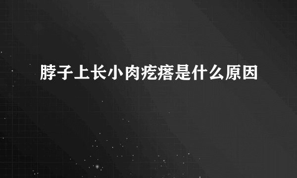 脖子上长小肉疙瘩是什么原因