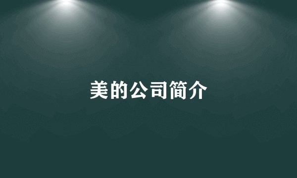 美的公司简介