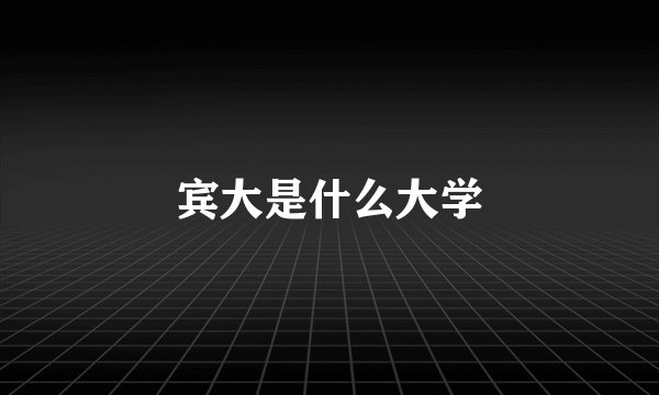 宾大是什么大学