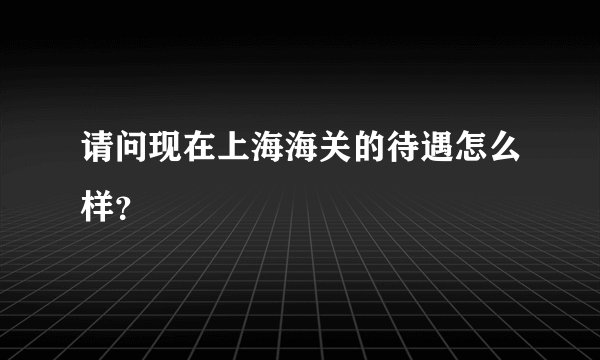 请问现在上海海关的待遇怎么样？