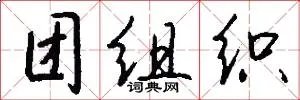 团组织