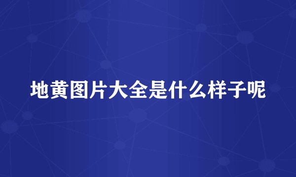 地黄图片大全是什么样子呢