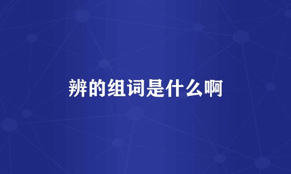 辨的组词是什么啊