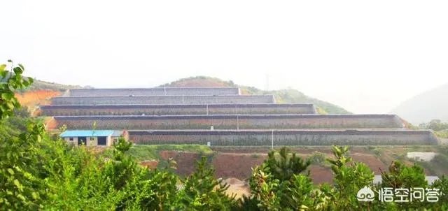 提问:如今农村养殖业跟特色种植业哪个发展前景更好?