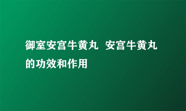 御室安宫牛黄丸  安宫牛黄丸的功效和作用