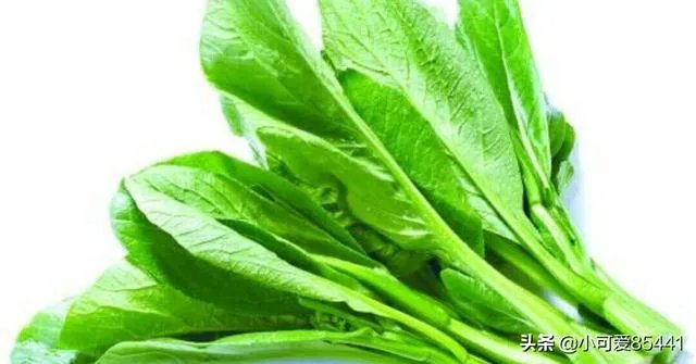 广东菜心怎么吃?
