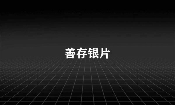 善存银片