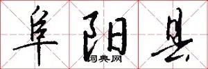阜阳县