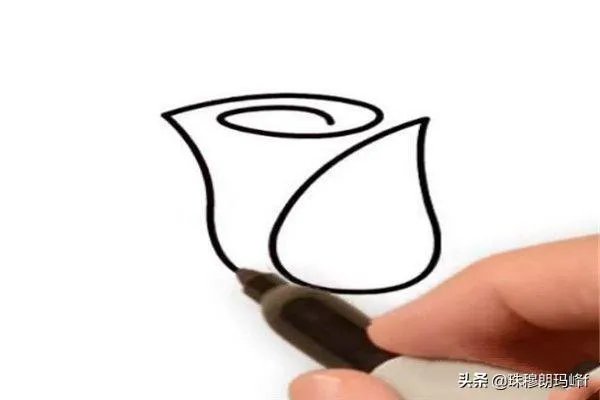 玫瑰花简笔画怎么画?