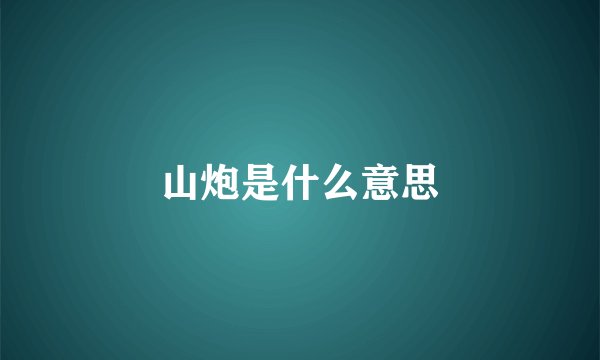 山炮是什么意思