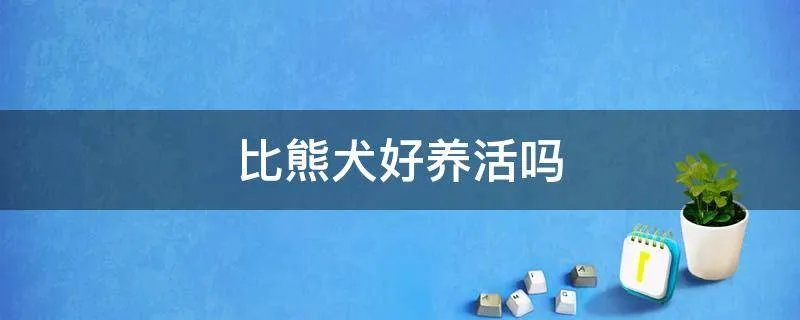 比熊犬好养活吗