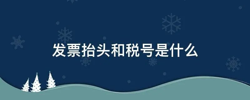 发票抬头和税号是什么
