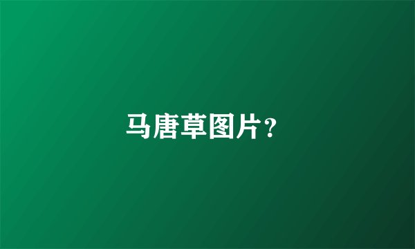 马唐草图片？