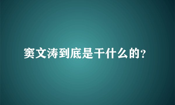 窦文涛到底是干什么的？