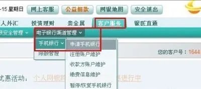 农行手机银行怎么开通使用。