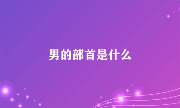 男的部首是什么