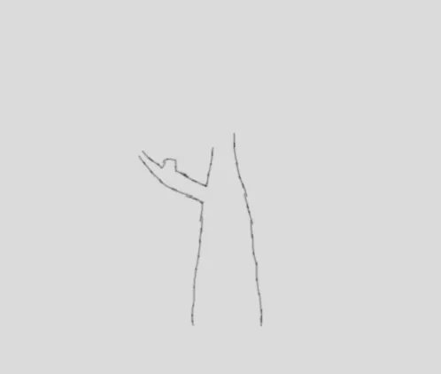 画树怎么画