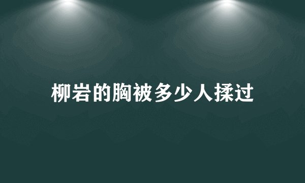 柳岩的胸被多少人揉过