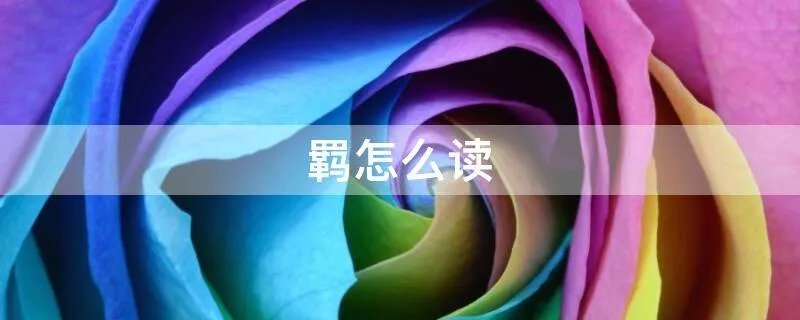 羁怎么读