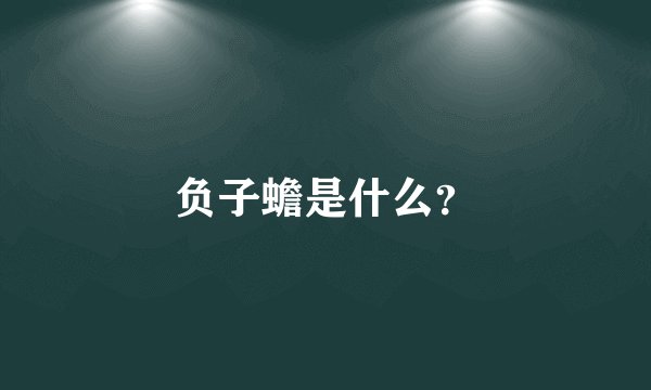 负子蟾是什么？