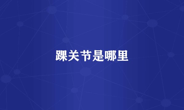 踝关节是哪里