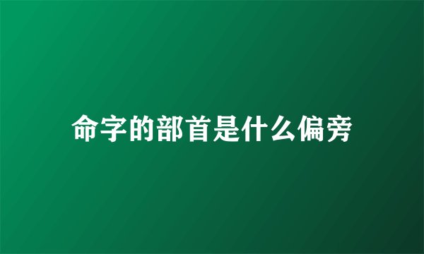 命字的部首是什么偏旁