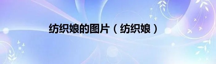 纺织娘的图片（纺织娘）