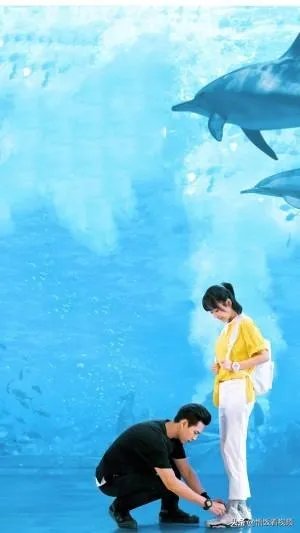电视剧《亲爱的,亲爱的》你最喜欢片中的哪个主角?