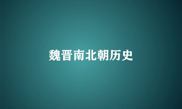 魏晋南北朝历史