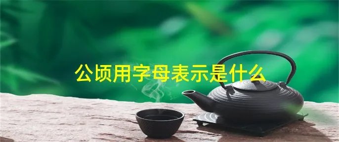 公顷用字母表示是什么