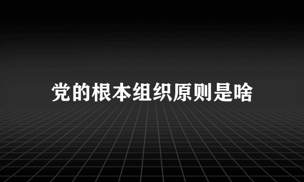 党的根本组织原则是啥