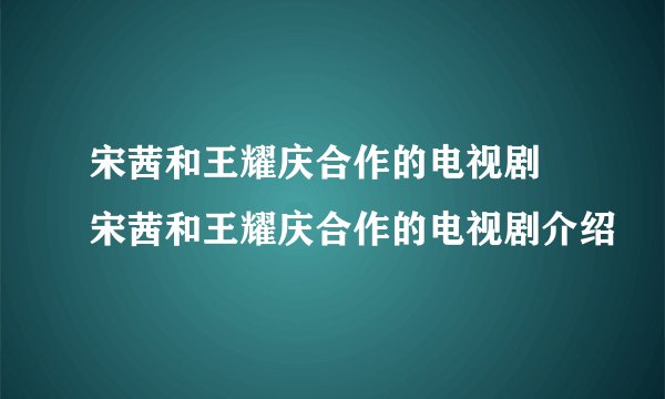 宋茜和王耀庆合作的电视剧 宋茜和王耀庆合作的电视剧介绍