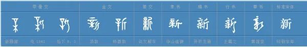 新的组词大全