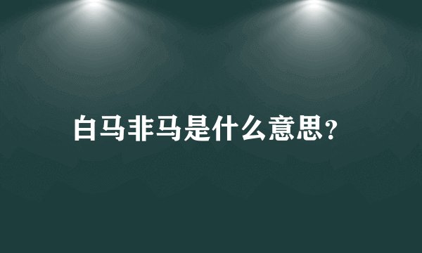 白马非马是什么意思？