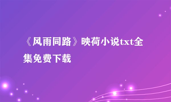 《风雨同路》映荷小说txt全集免费下载
