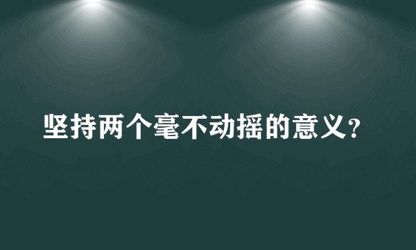 坚持两个毫不动摇的意义？