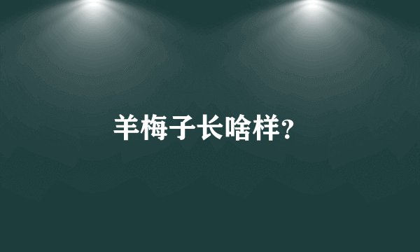 羊梅子长啥样?