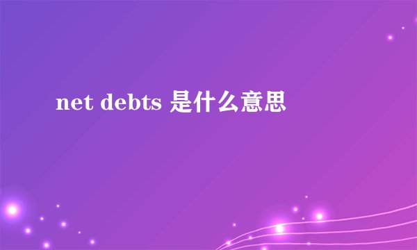 net debts 是什么意思