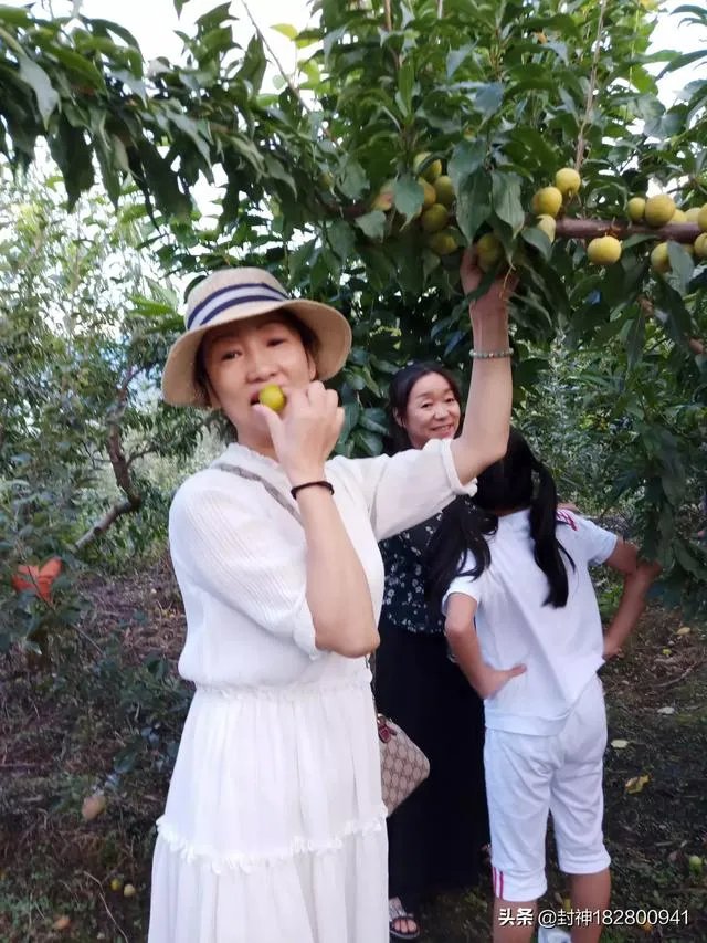 国庆休息这么多天,您会怎么过?