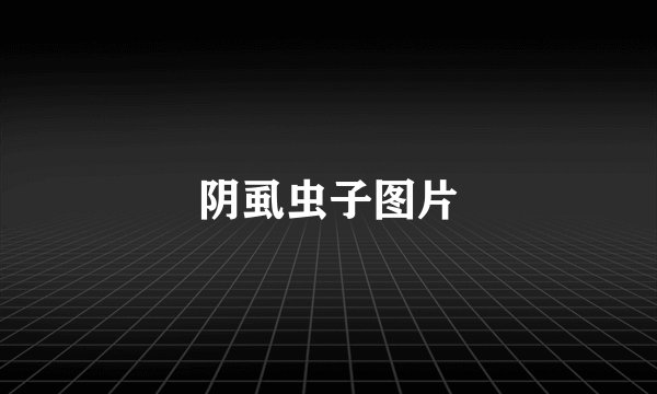 阴虱虫子图片