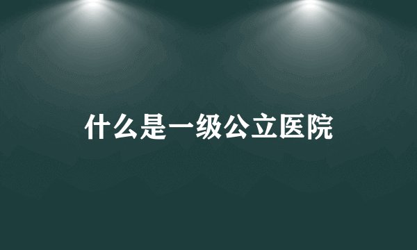 什么是一级公立医院