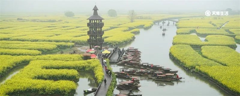 泰州在哪里
