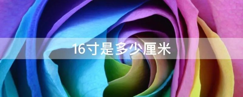 16寸是多少厘米