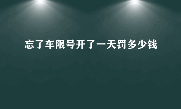 忘了车限号开了一天罚多少钱