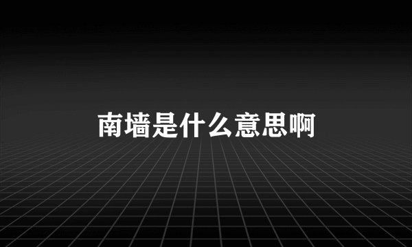 南墙是什么意思啊