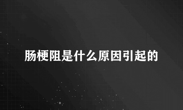 肠梗阻是什么原因引起的