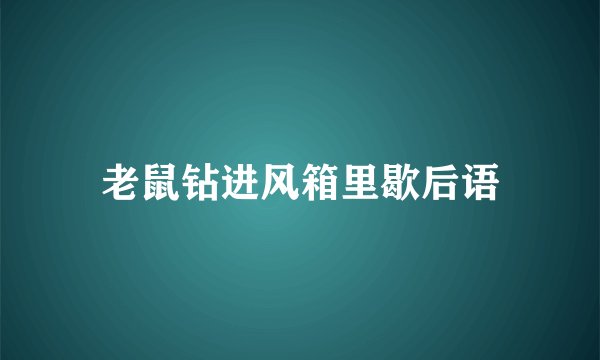 老鼠钻进风箱里歇后语