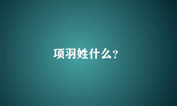 项羽姓什么?