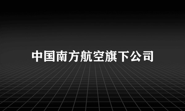 中国南方航空旗下公司