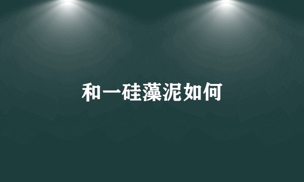 和一硅藻泥如何